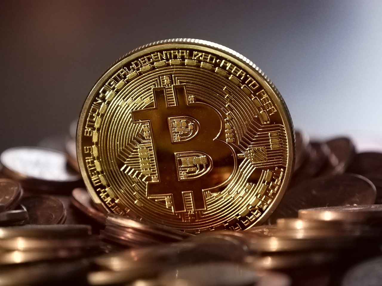 LUNA、UST注意！Terraform Labs推出损失申报平台 5月16日截止
