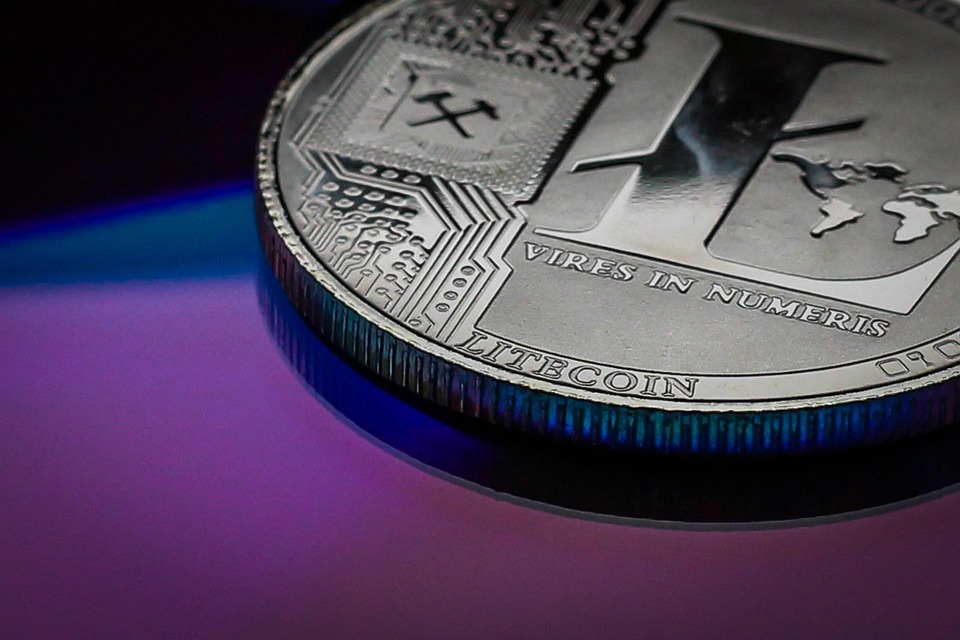 Base链发币？官方宣称仅收藏品 Base is for everyone市值破2千万美元